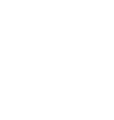 dessin fleur 3