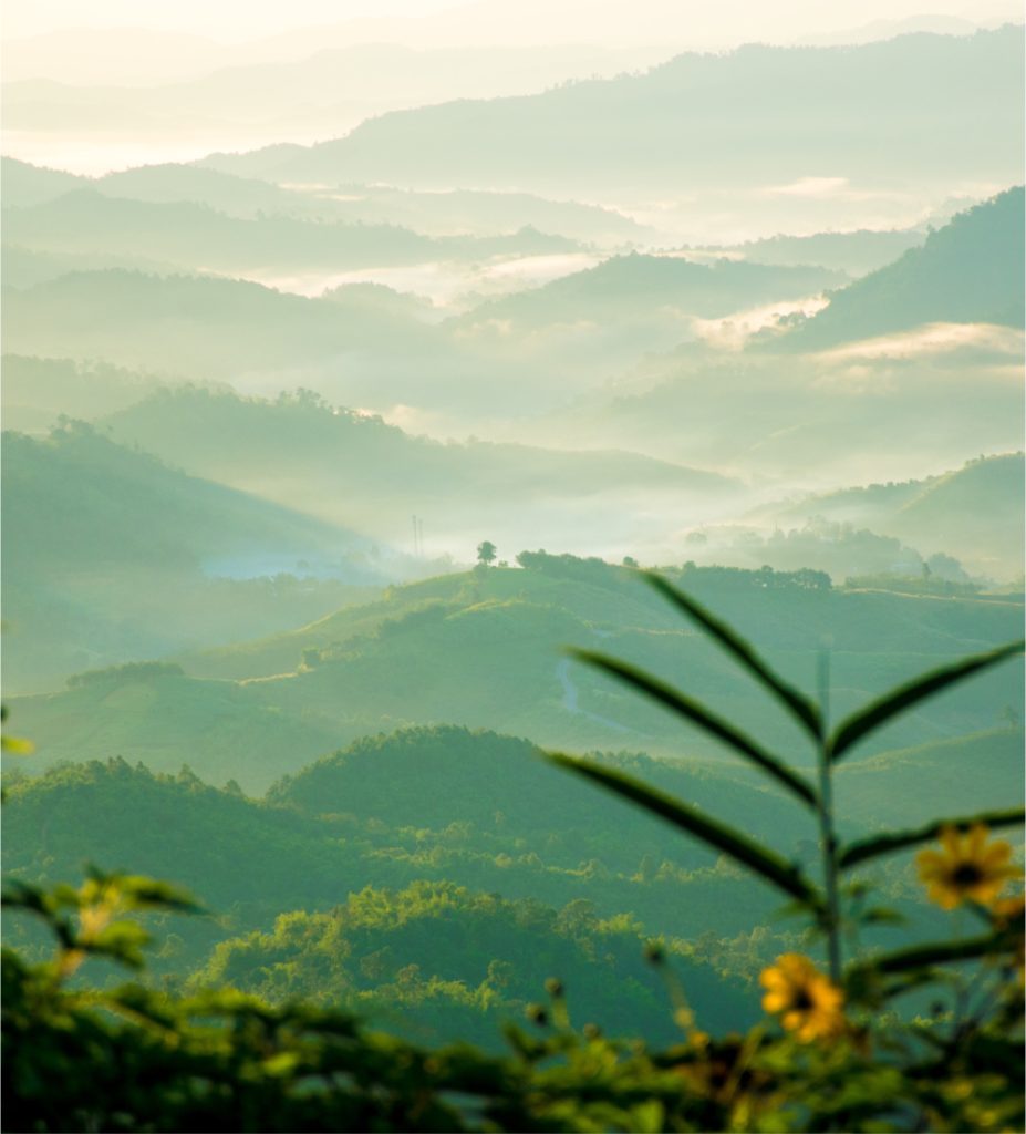 paysage